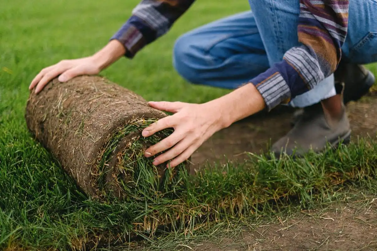 Drip Irrigation & Water Saving in Brownsville, TX