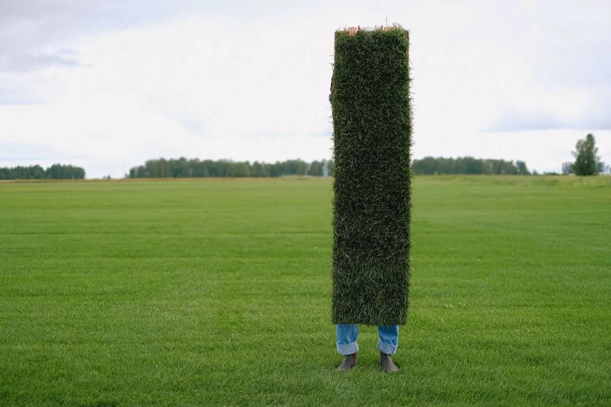 Commercial & Sports Turf in Brownsville, TX